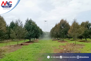 ทีมงาน NAcDrone ลงพื้นที่ส่งมอบและสอนใช้งานโดรนถึงสวน