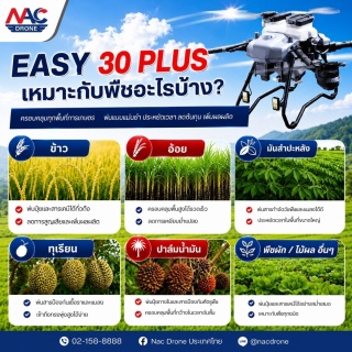 🌱 EASY 30 PLUS เหมาะกับพืชอะไรบ้าง?